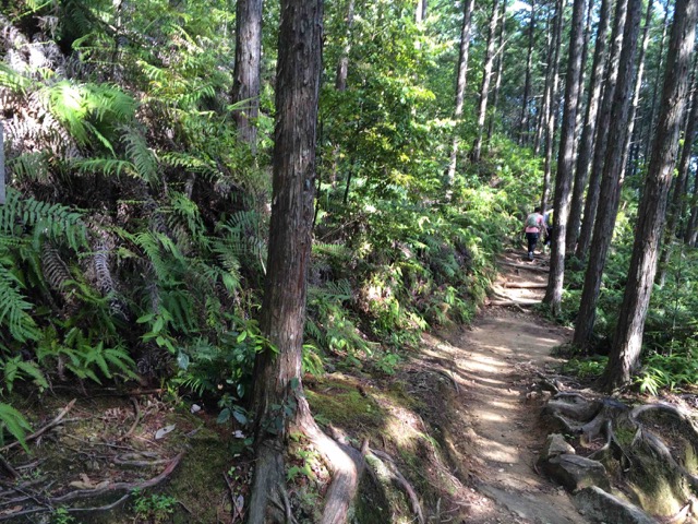 entry_photo