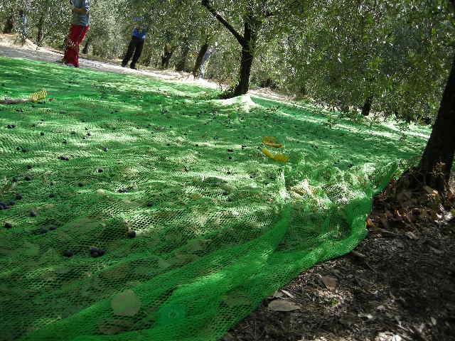 entry_photo